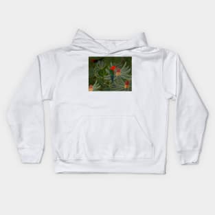 Banksia Parrots 2 Kids Hoodie